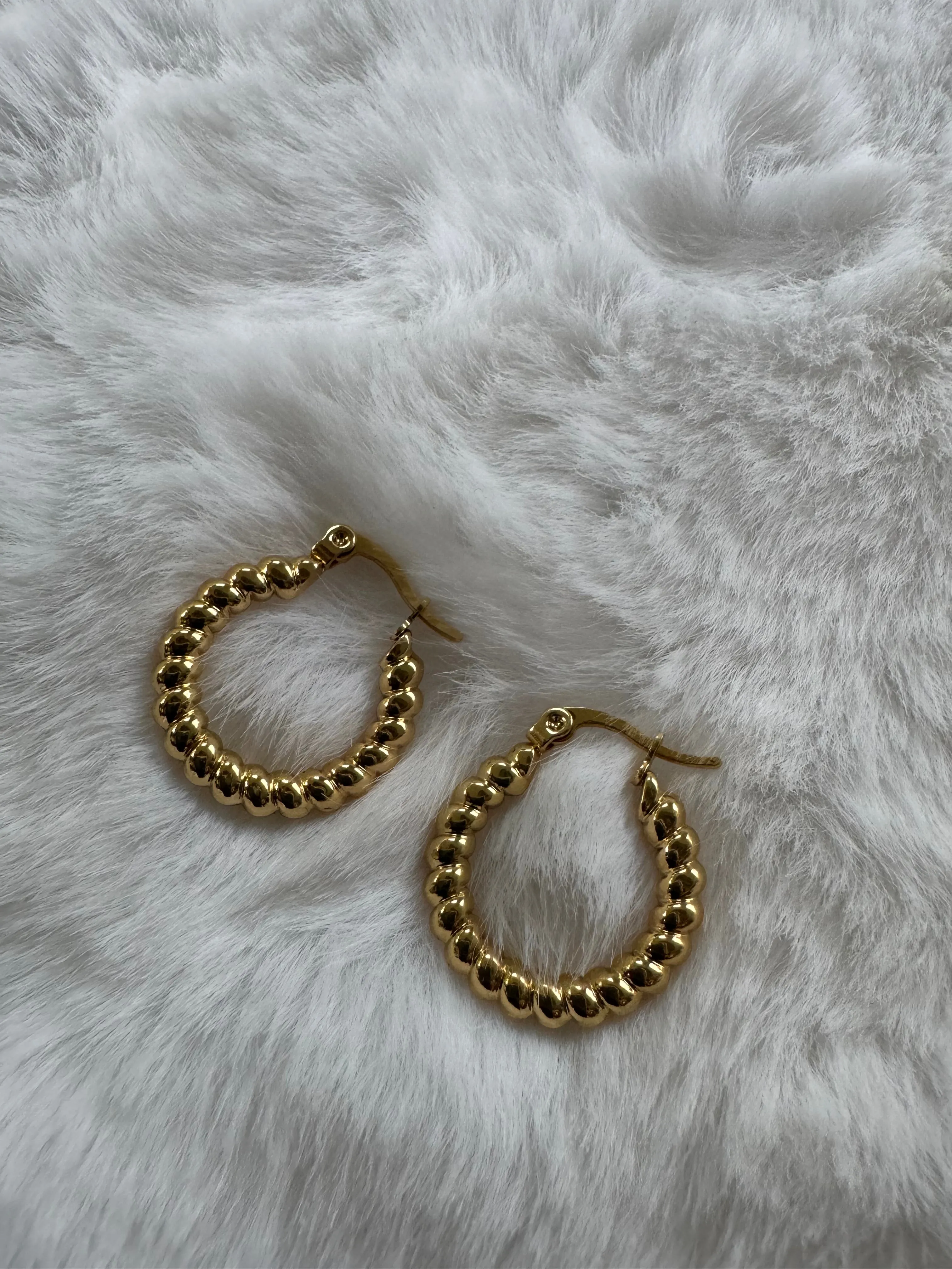 Stainless steel earrings
