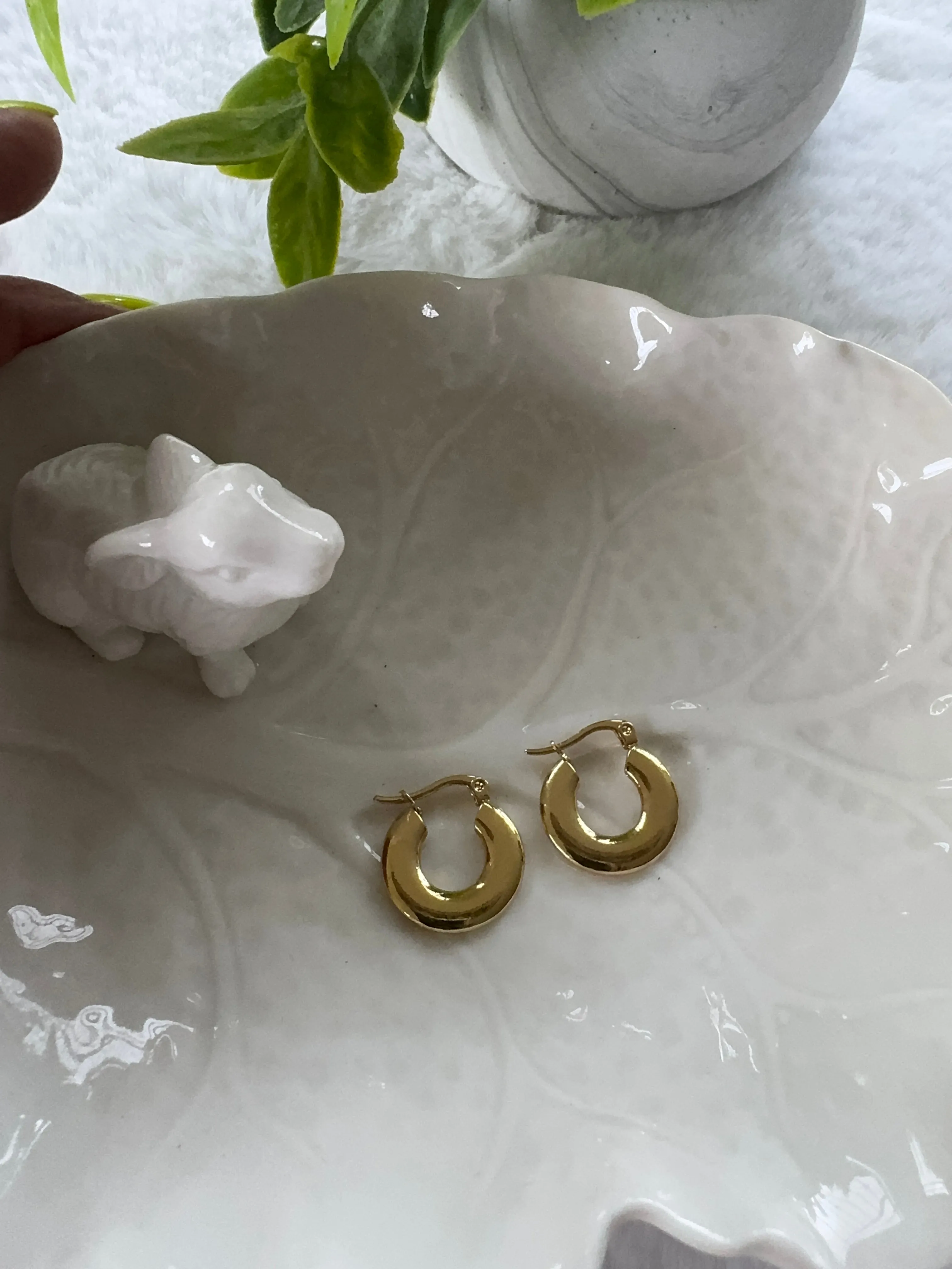 Stainless steel earrings
