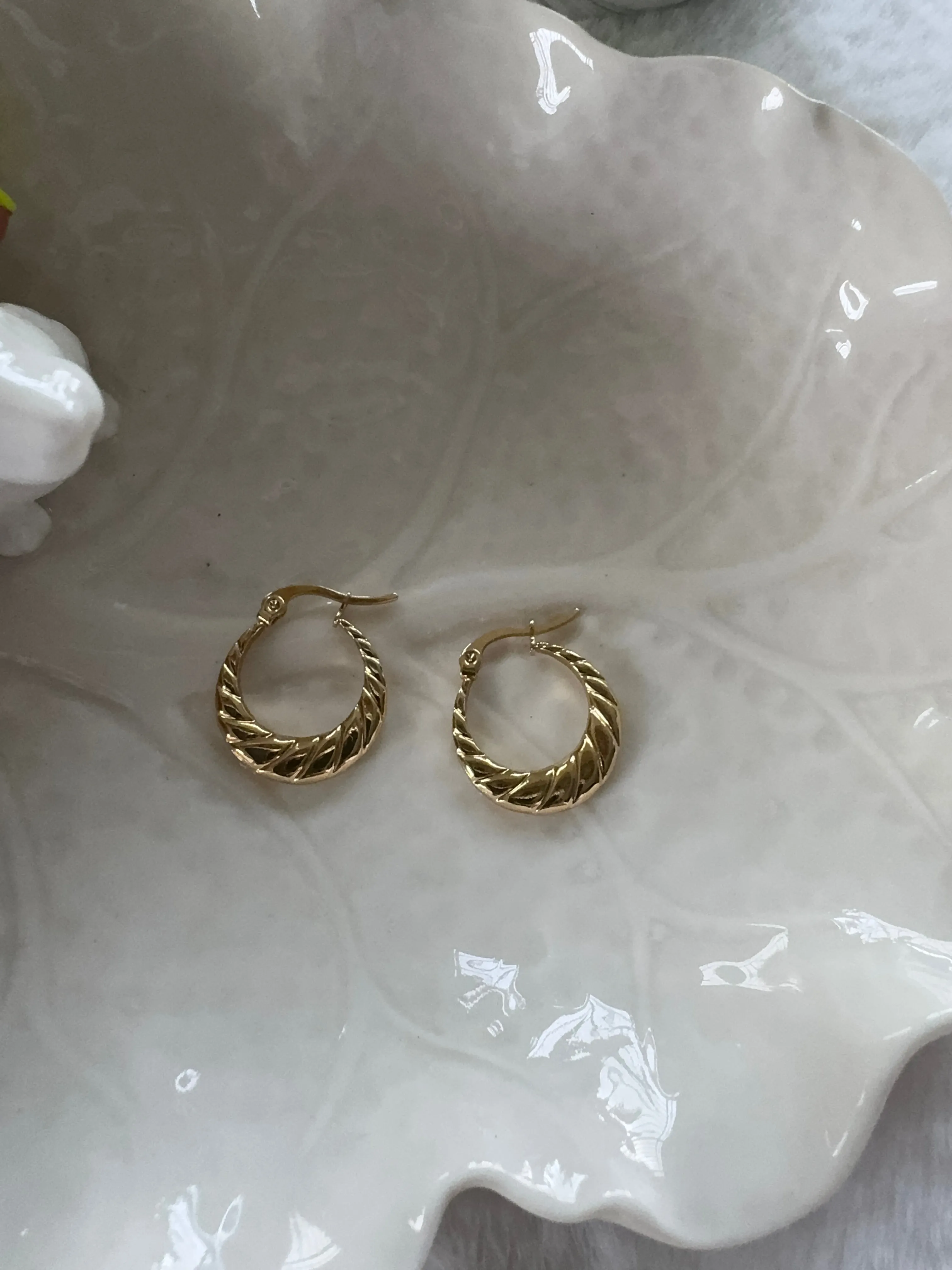 Stainless steel earrings