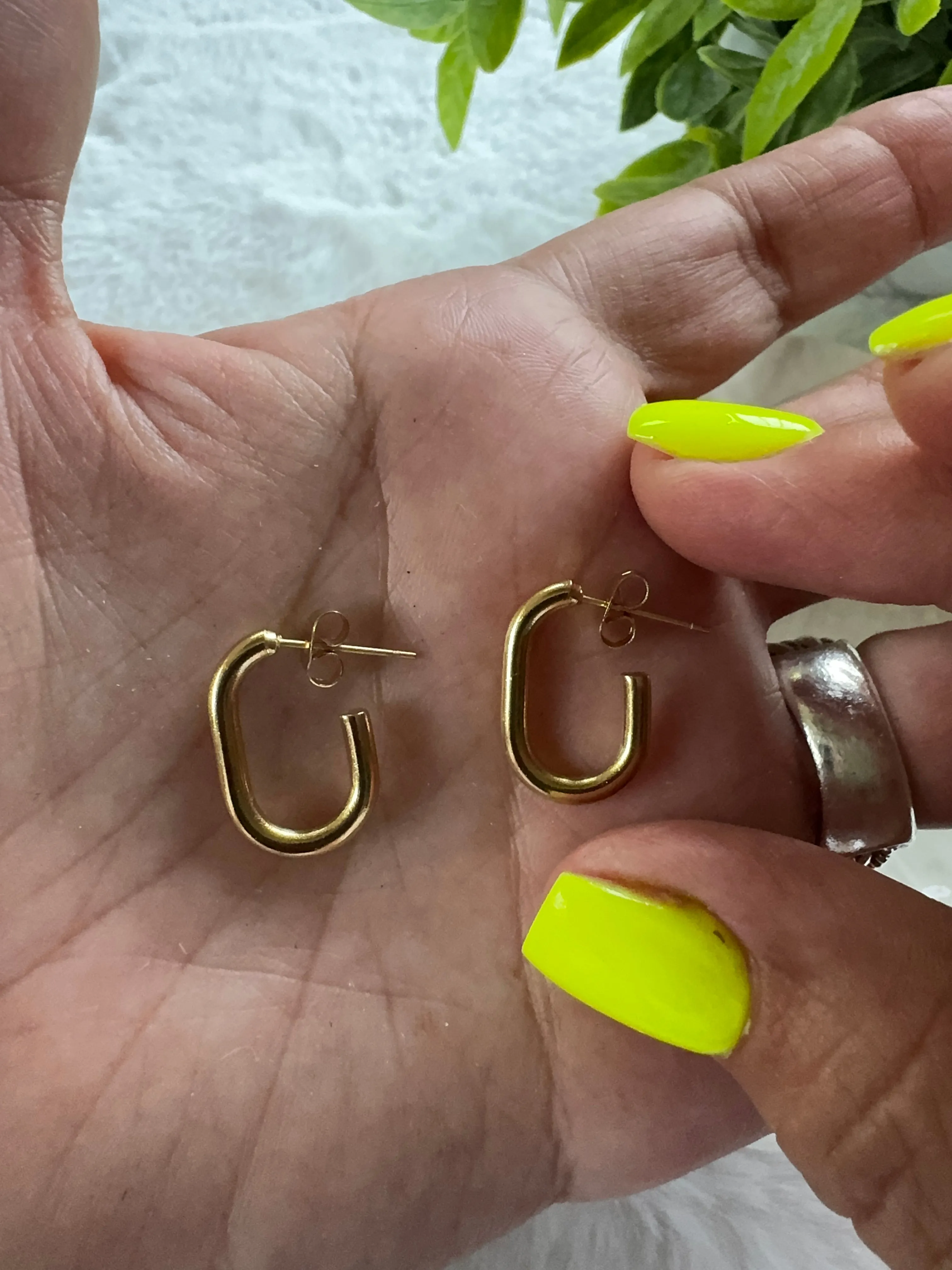 Stainless steel earrings