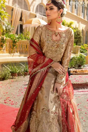 Tissue Fabric Lehenga with Metallic Gold Shirt #BS124