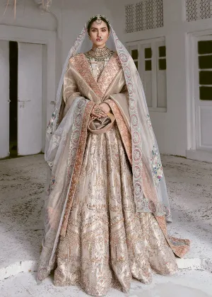 Tissue Lehenga Choli Bridal Dress Pakistani #BS794