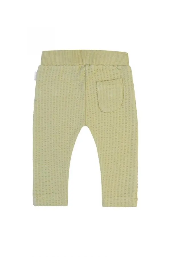 Unisex Regular Fit Pant- Moss Grey