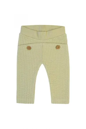 Unisex Regular Fit Pant- Moss Grey