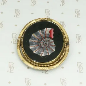 Victorian Seashell Locket Brooch