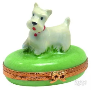 Westie Dog